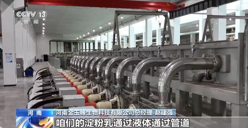 從‘農(nóng)頭’到‘工尾’ 解析玉米豐收背后的漫長產(chǎn)業(yè)鏈與生物科技新篇章